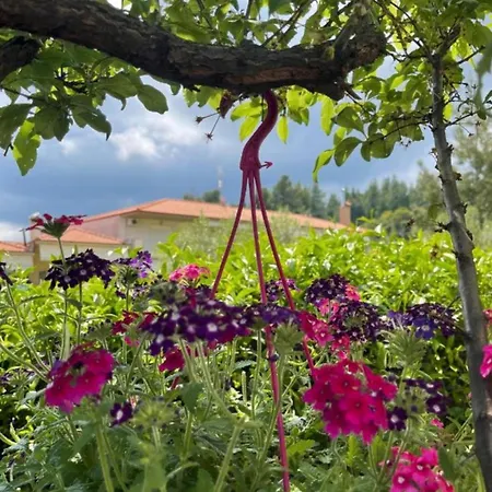 Sun Sight Pefkochori